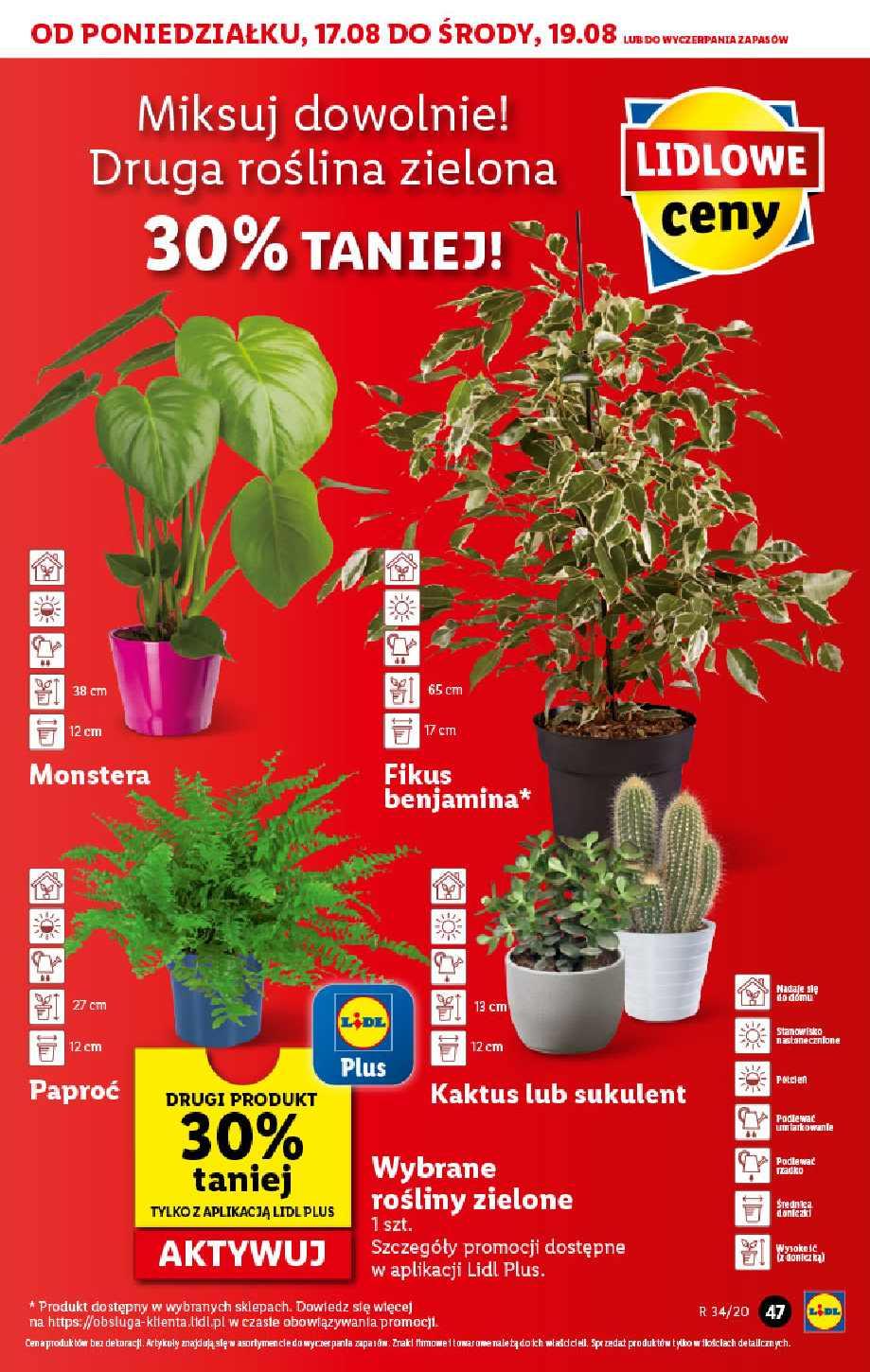 Gazetka promocyjna Lidl str. 47
