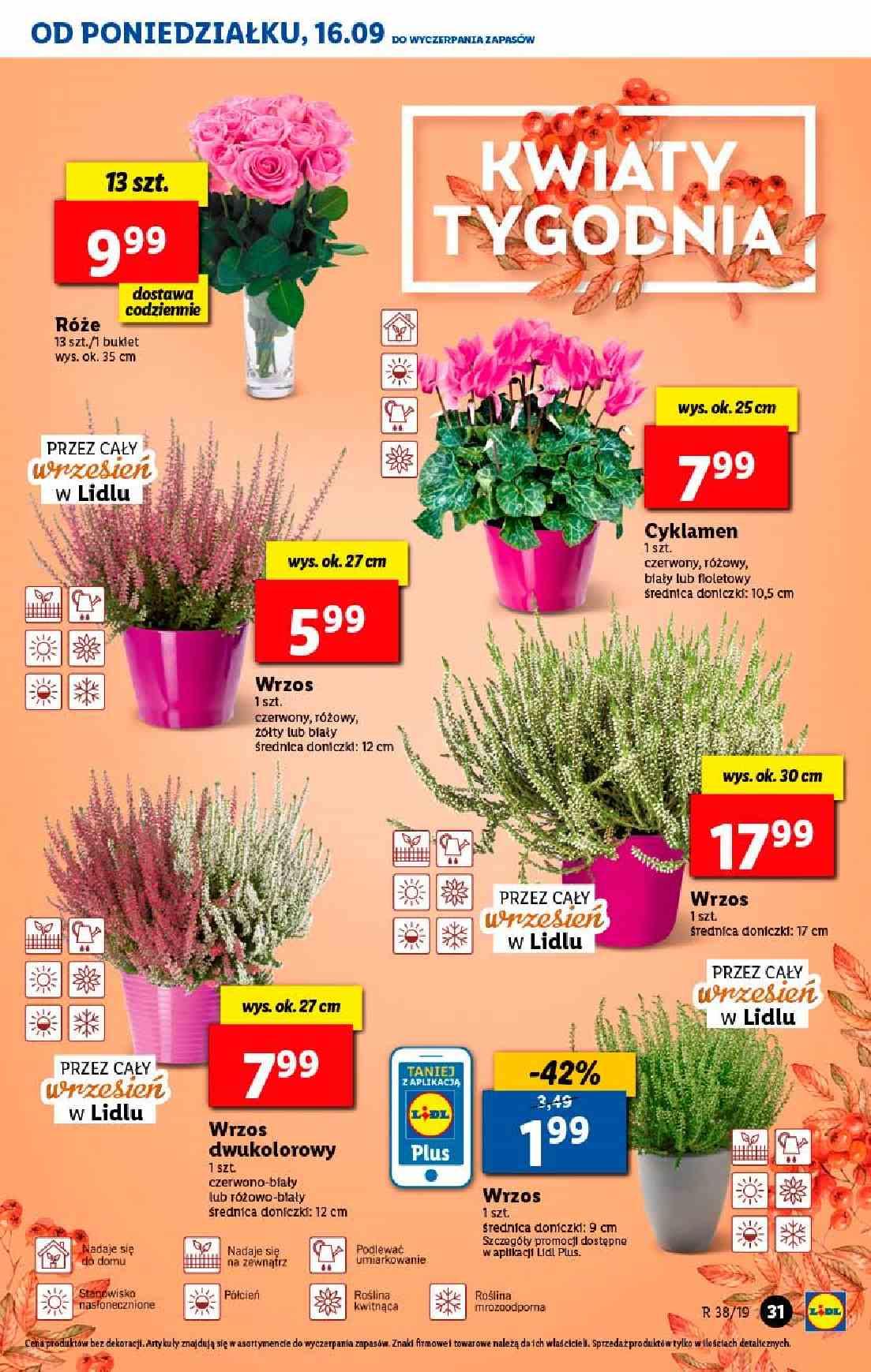 Gazetka promocyjna Lidl str. 31