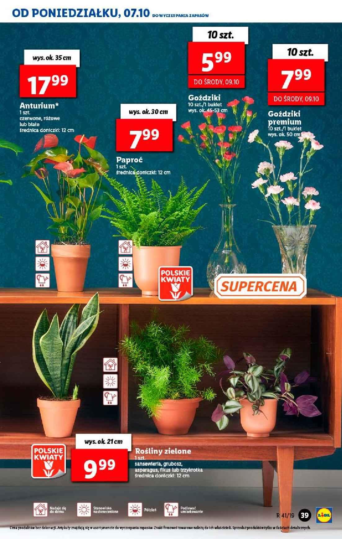 Gazetka promocyjna Lidl str. 39