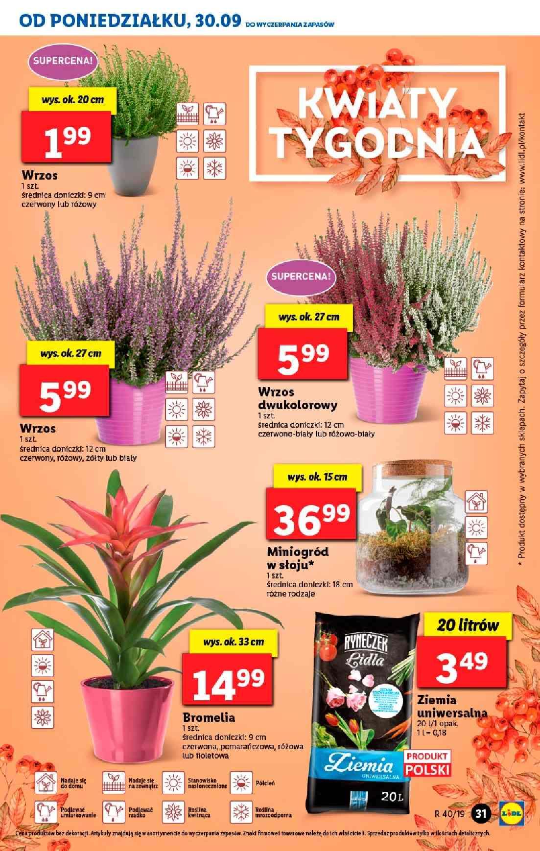 Gazetka promocyjna Lidl str. 31