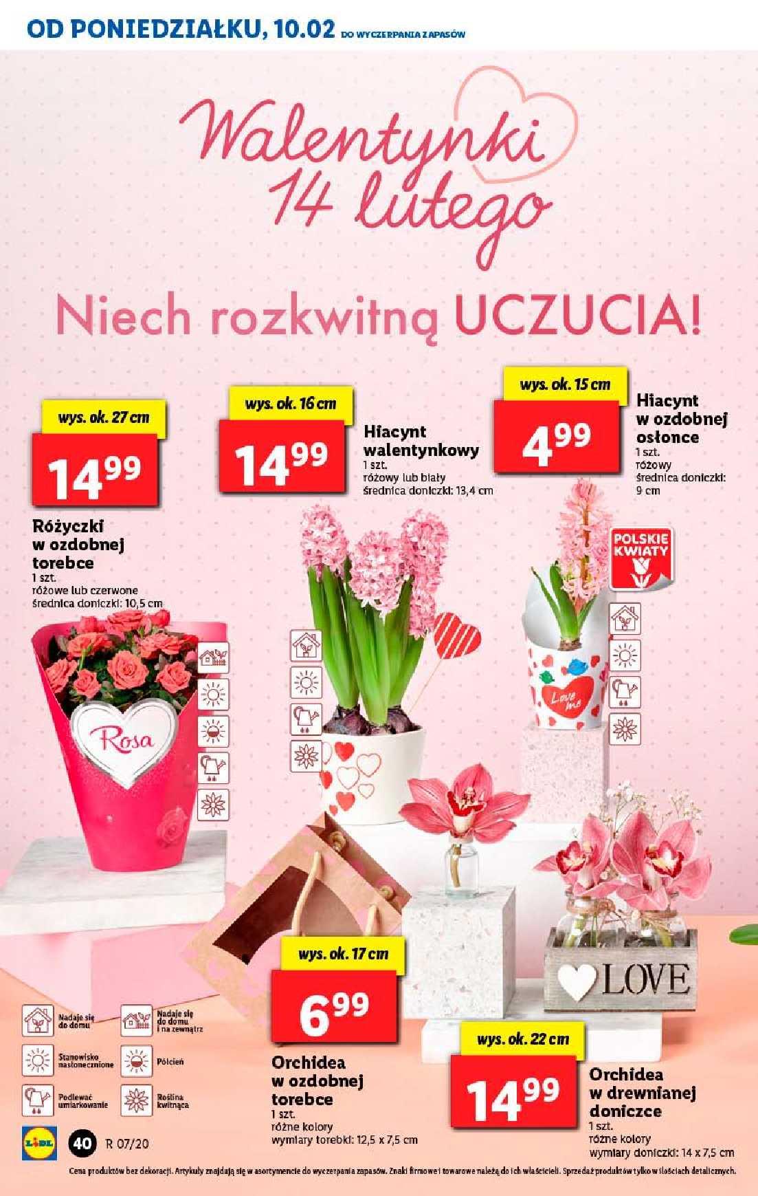 Gazetka promocyjna Lidl str. 40