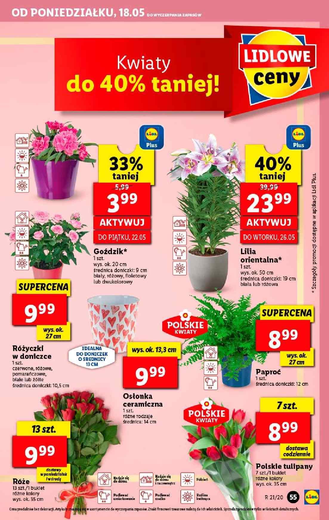 Gazetka promocyjna Lidl str. 55