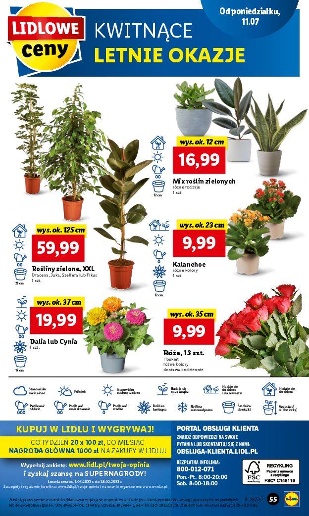Gazetka promocyjna Lidl str. 55
