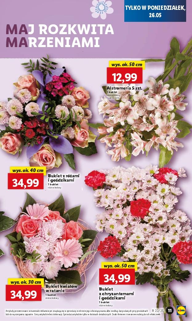 Gazetka promocyjna Lidl str. 10