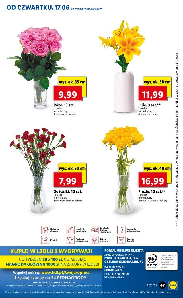 Gazetka promocyjna Lidl str. 47