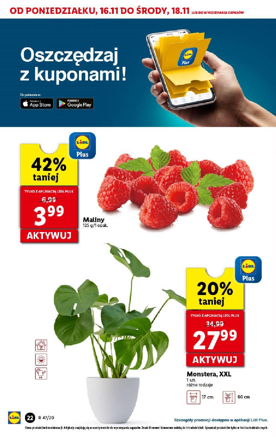 Gazetka promocyjna Lidl str. 22