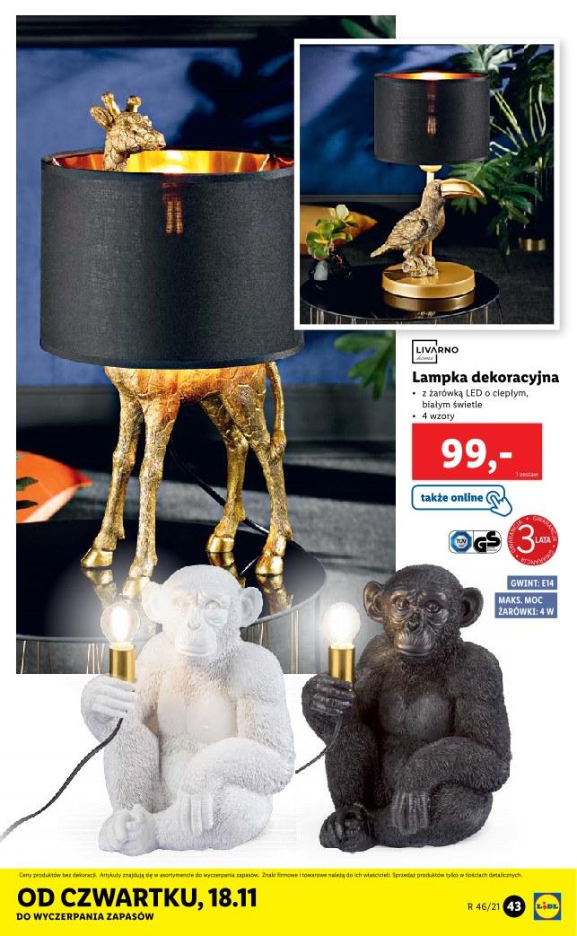 Gazetka promocyjna Lidl str. 43