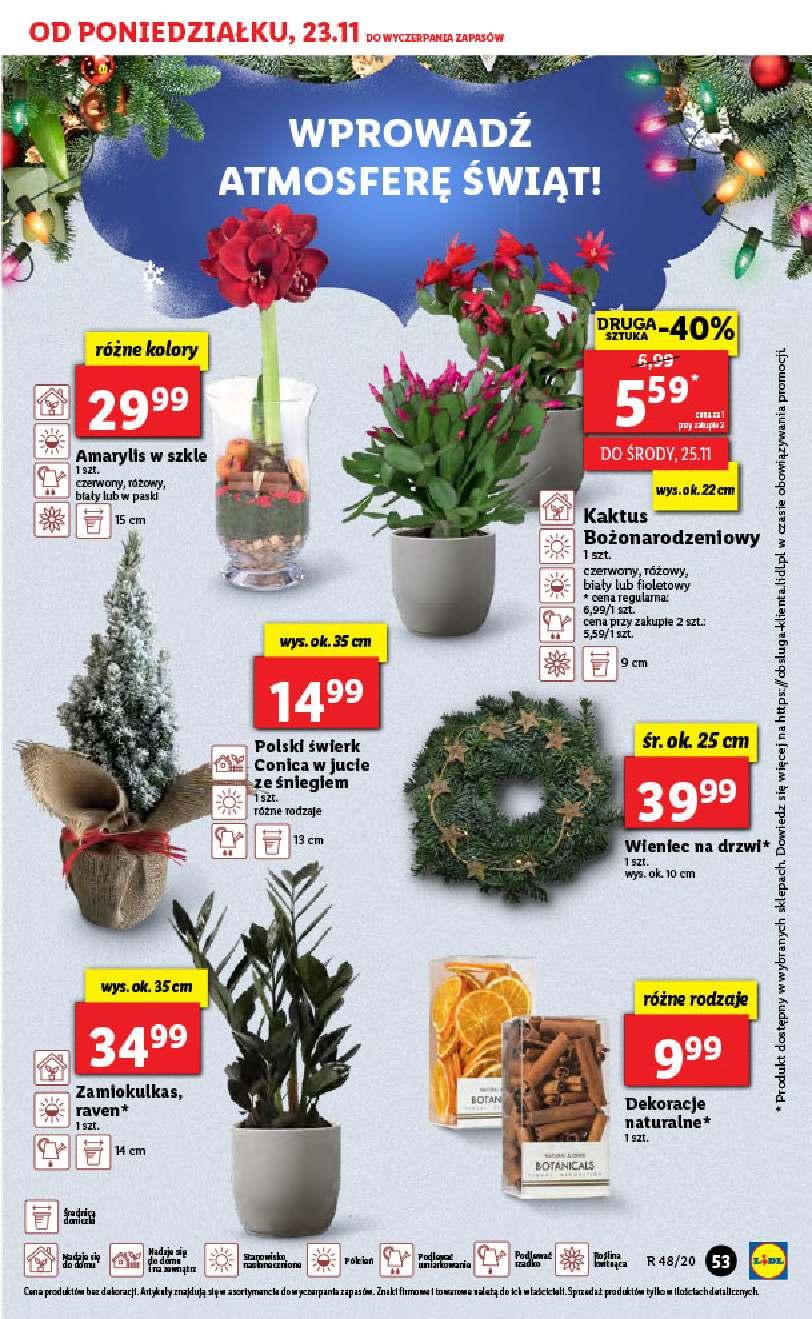 Gazetka promocyjna Lidl str. 53