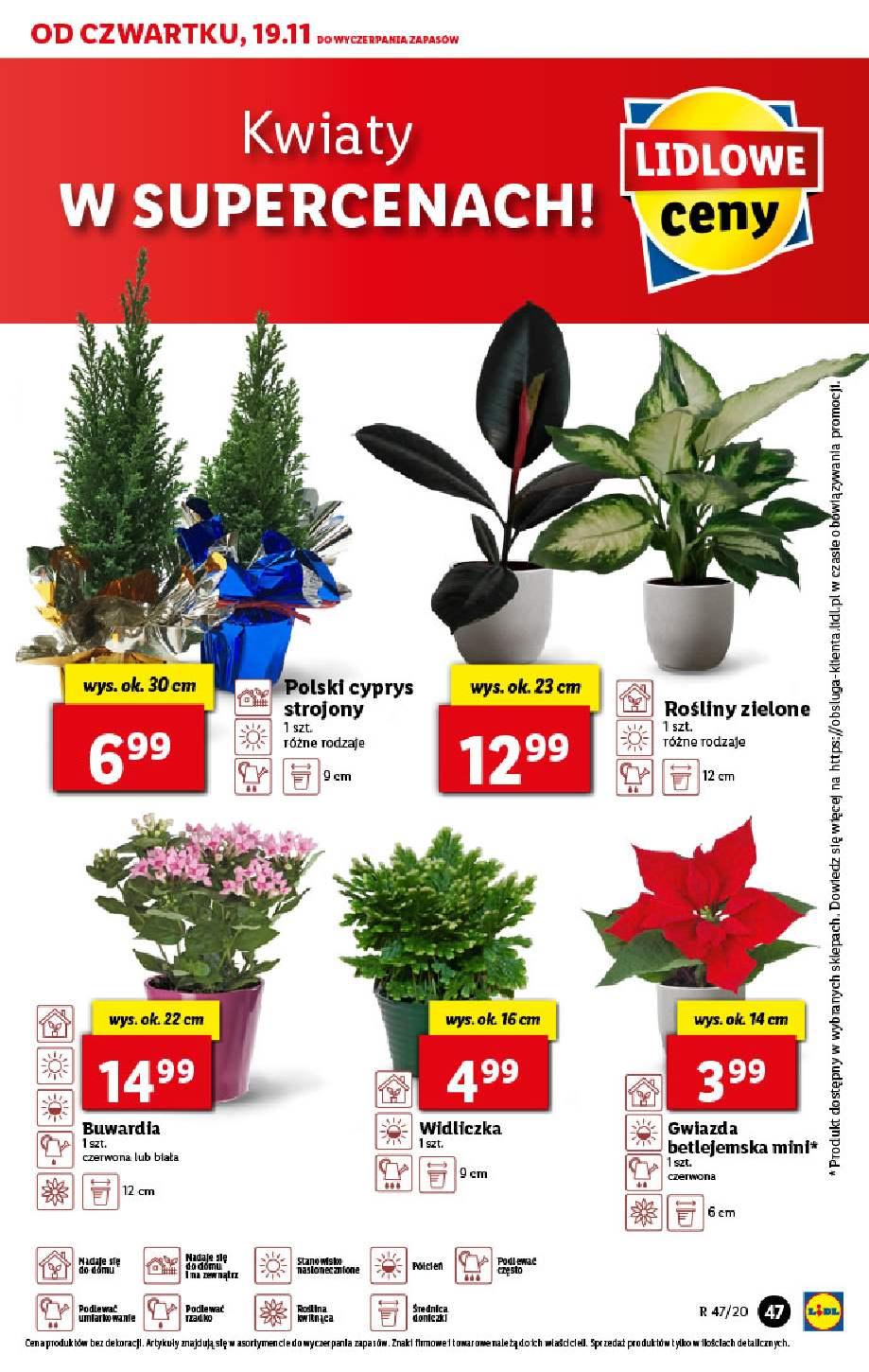Gazetka promocyjna Lidl str. 47