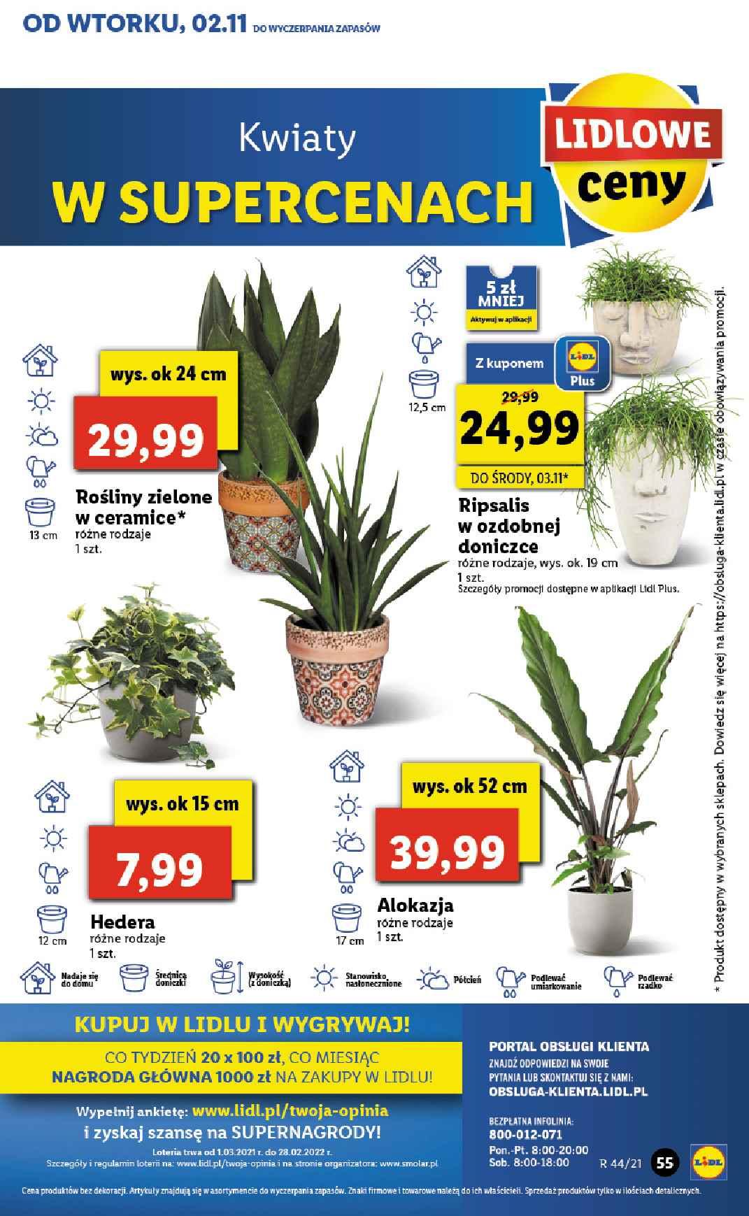 Gazetka promocyjna Lidl str. 55