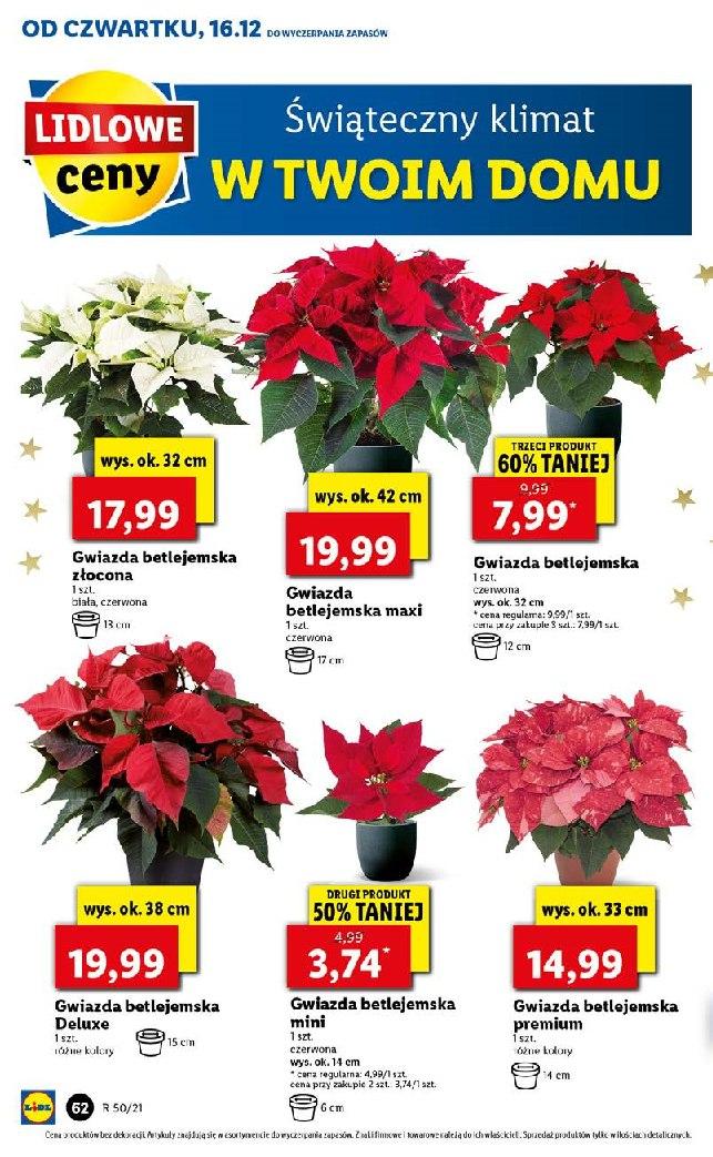 Gazetka promocyjna Lidl str. 62