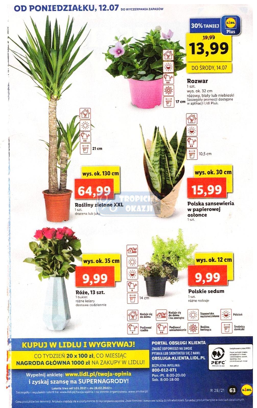 Gazetka promocyjna Lidl str. 63