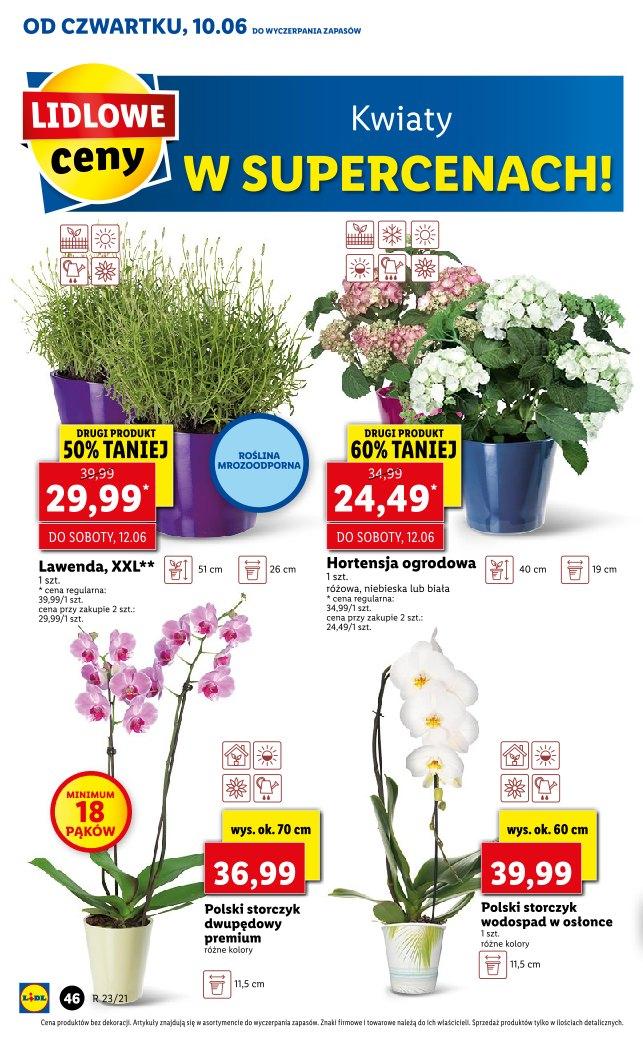 Gazetka promocyjna Lidl str. 46