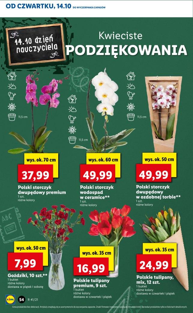 Gazetka promocyjna Lidl str. 54