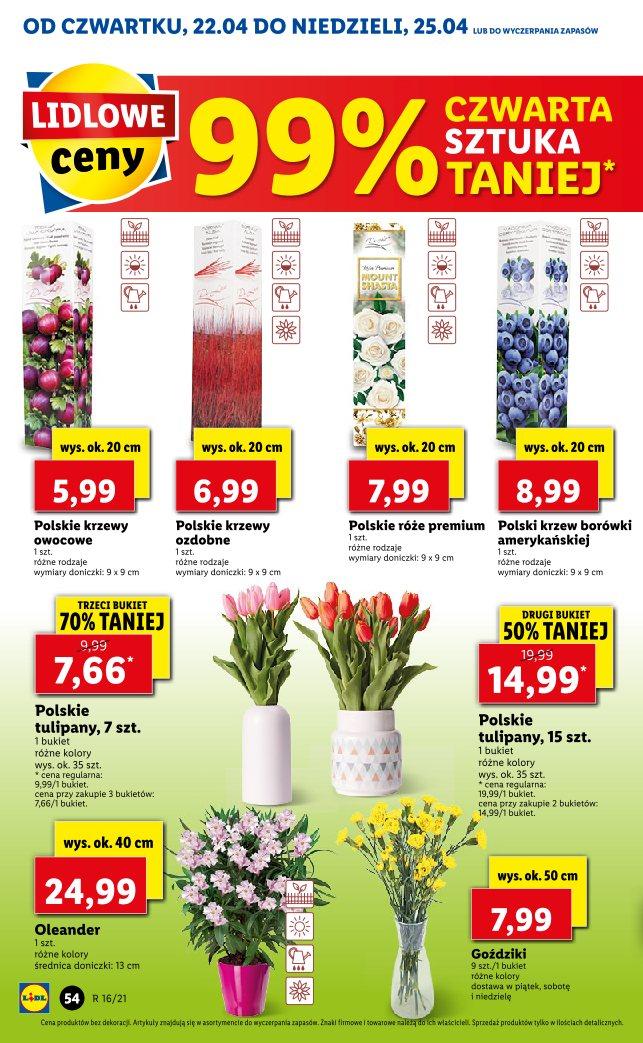 Gazetka promocyjna Lidl str. 54