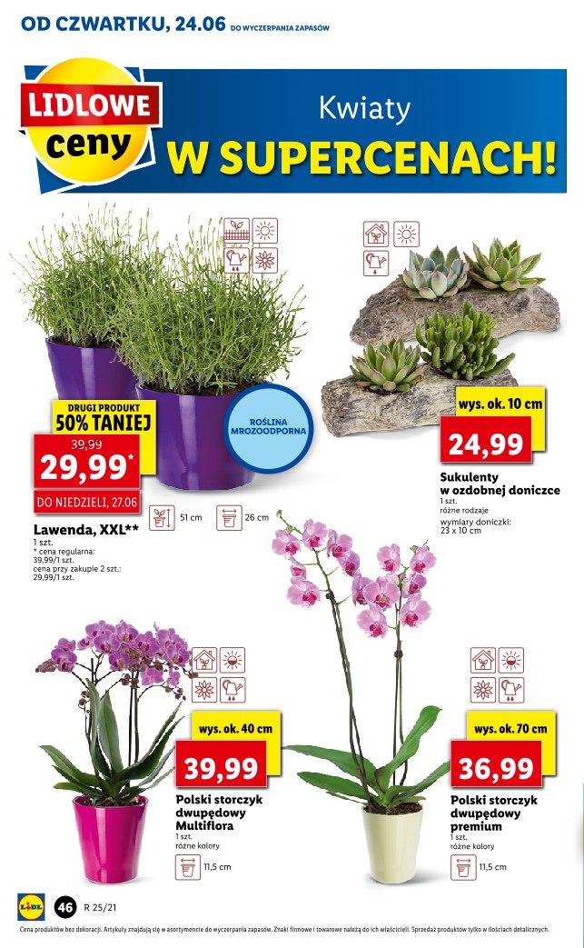 Gazetka promocyjna Lidl str. 46