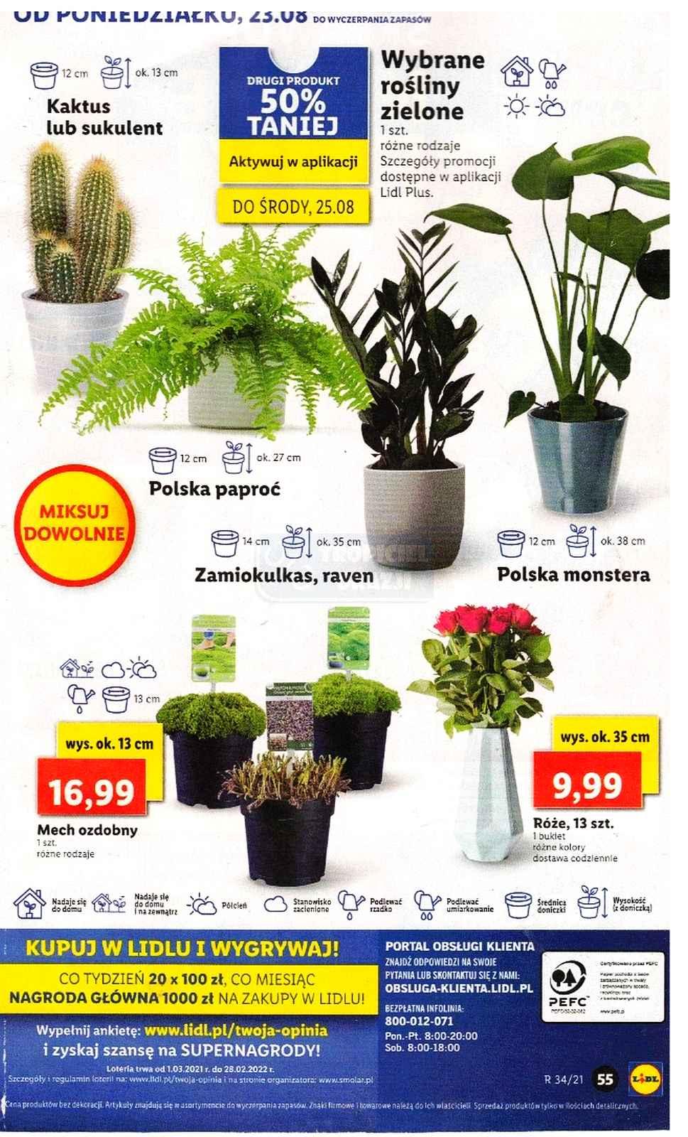 Gazetka promocyjna Lidl str. 111