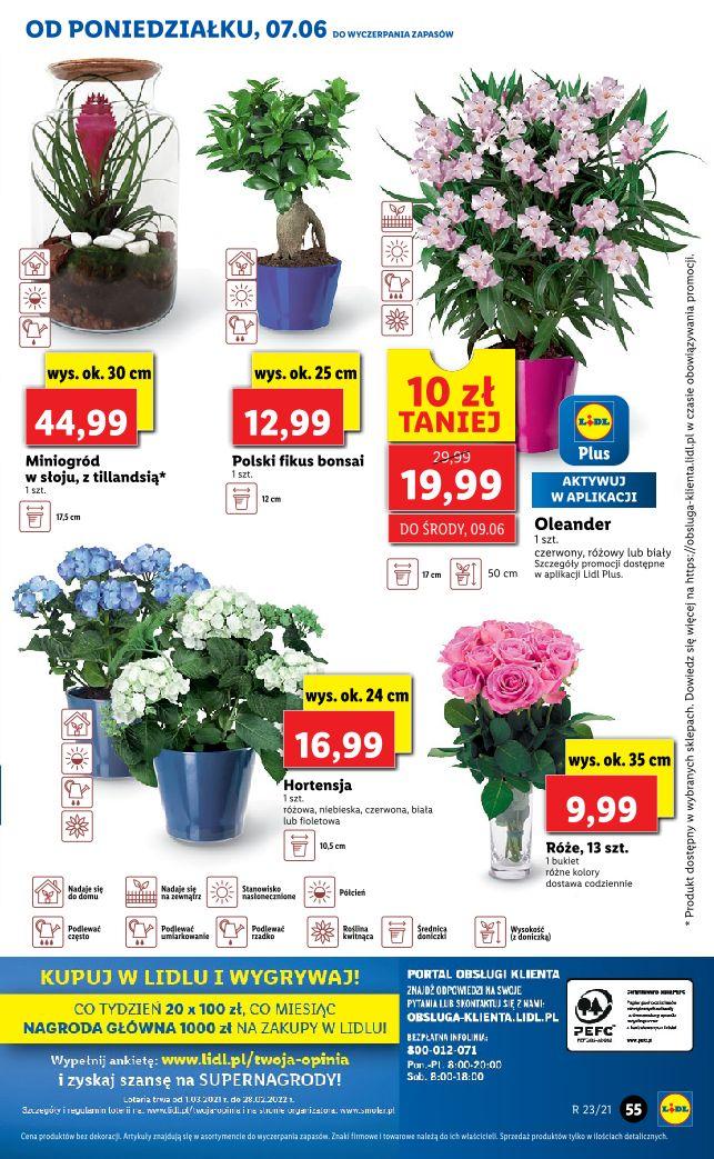 Gazetka promocyjna Lidl str. 55