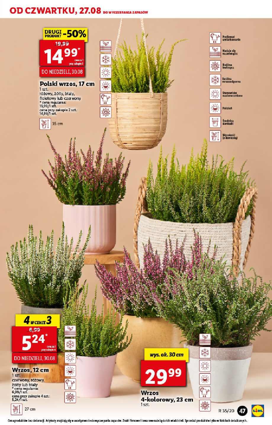 Gazetka promocyjna Lidl str. 47