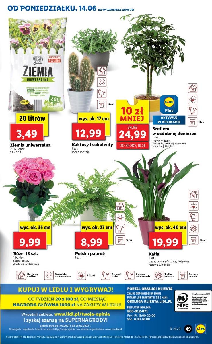 Gazetka promocyjna Lidl str. 49