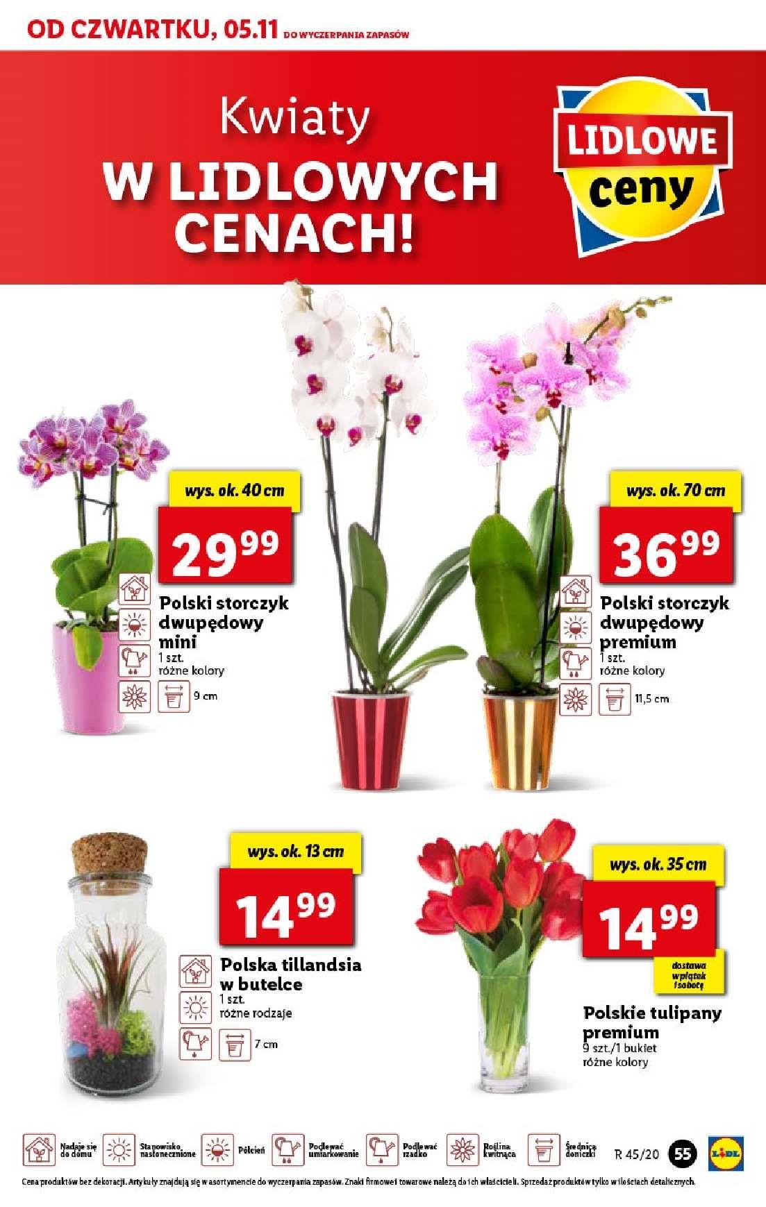 Gazetka promocyjna Lidl str. 55