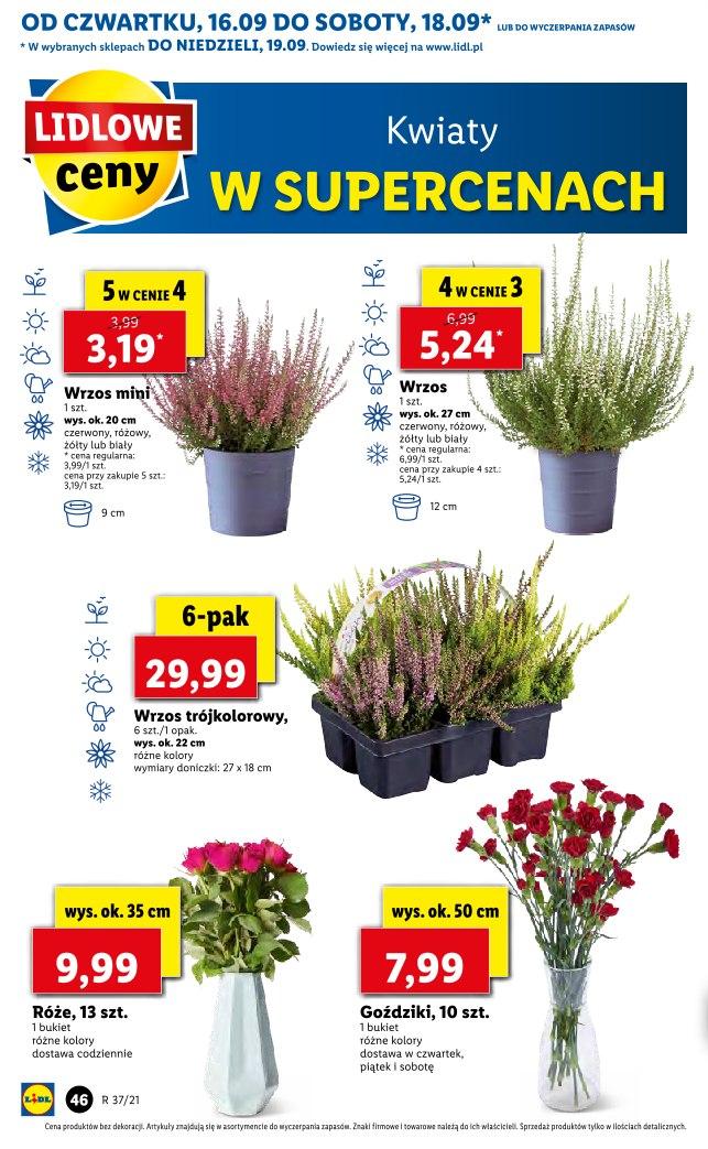 Gazetka promocyjna Lidl str. 46