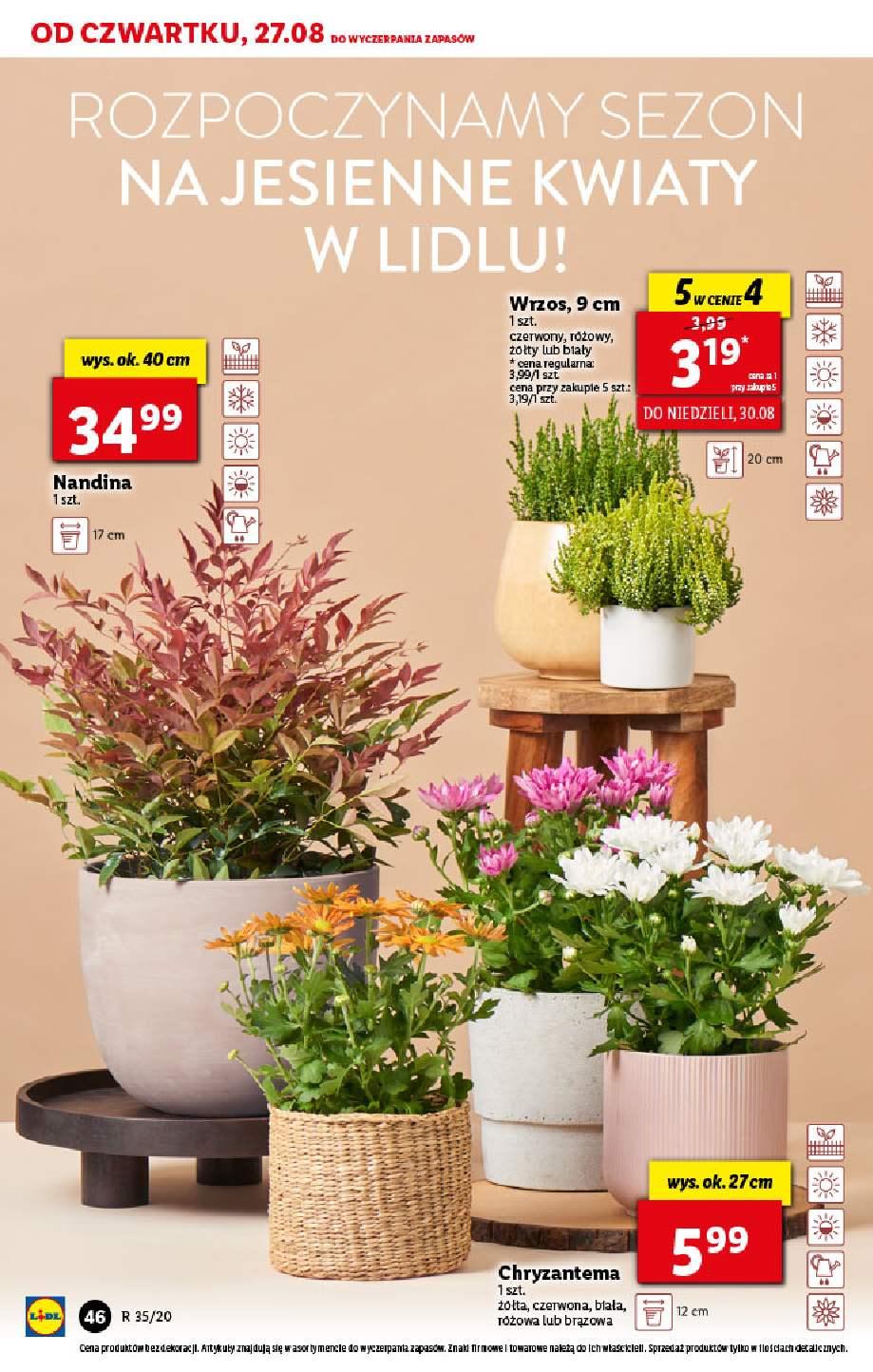Gazetka promocyjna Lidl str. 46