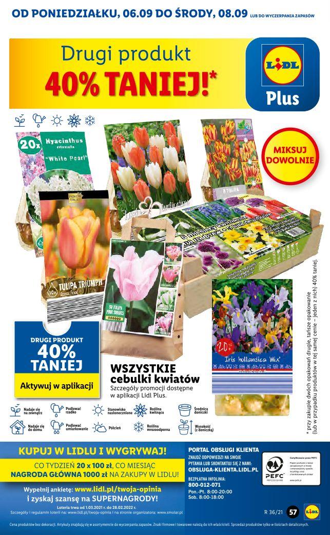 Gazetka promocyjna Lidl str. 55
