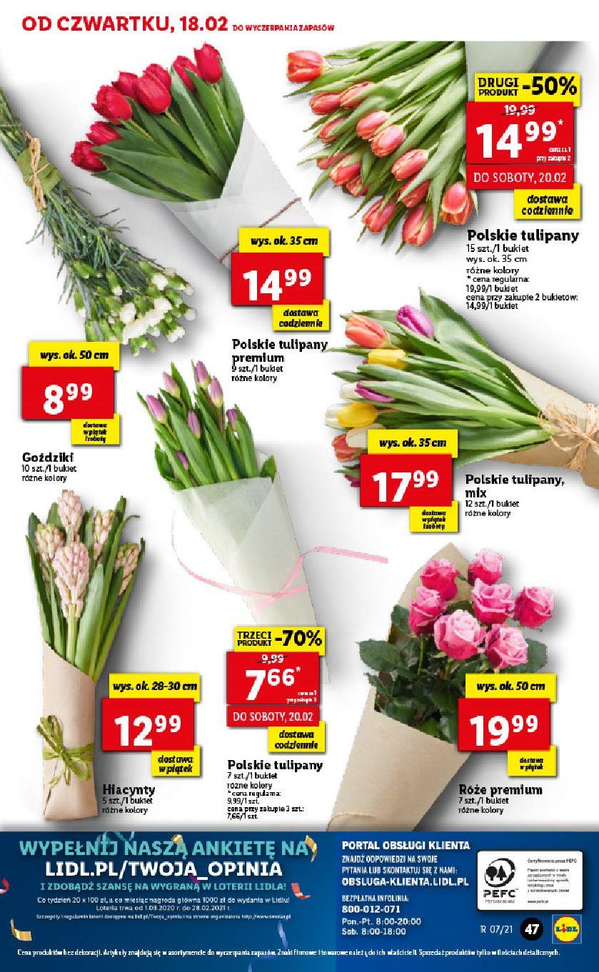 Gazetka promocyjna Lidl str. 47