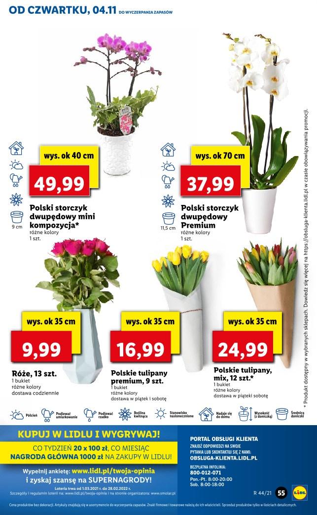 Gazetka promocyjna Lidl str. 55