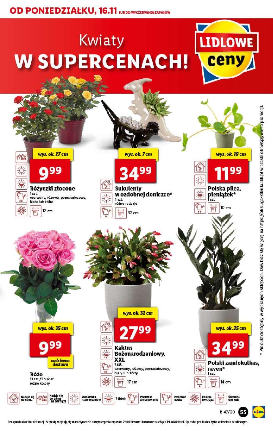 Gazetka promocyjna Lidl str. 55