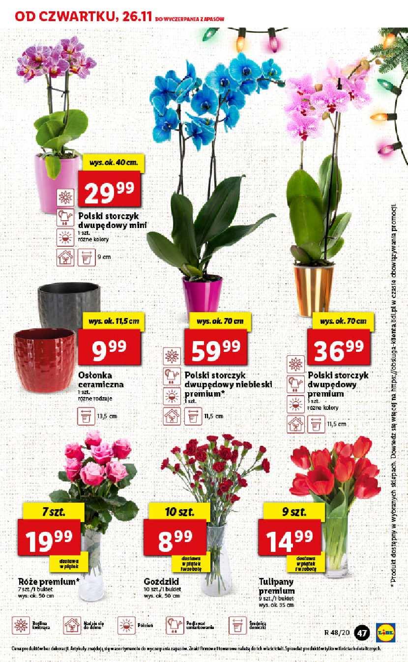 Gazetka promocyjna Lidl str. 47