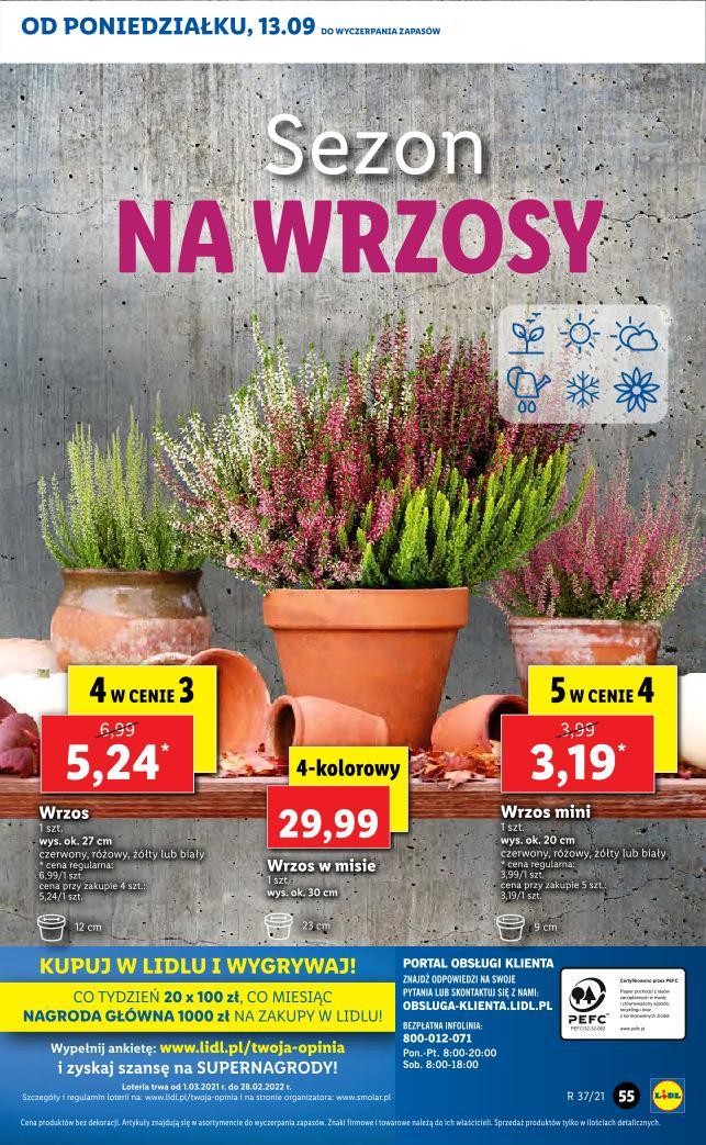 Gazetka promocyjna Lidl str. 55