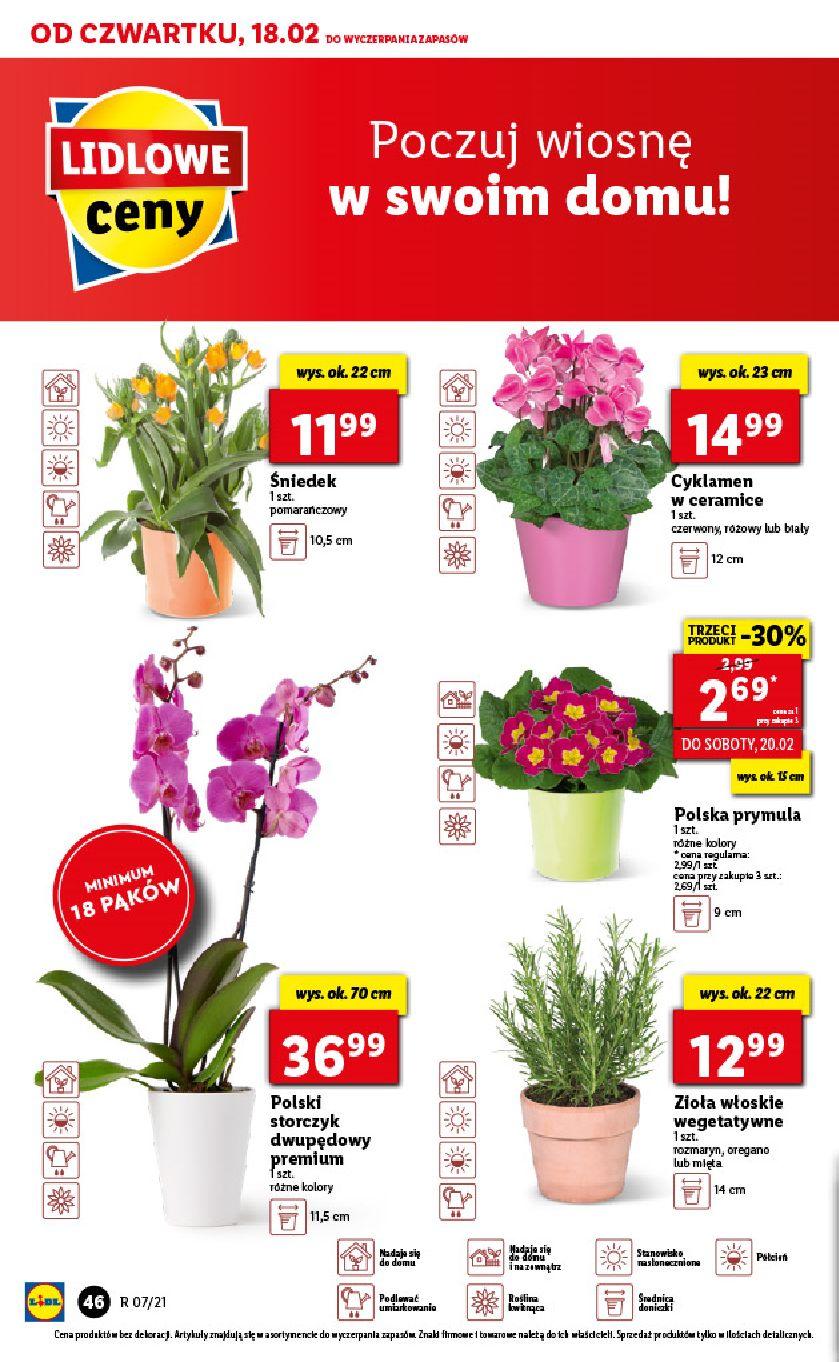 Gazetka promocyjna Lidl str. 46