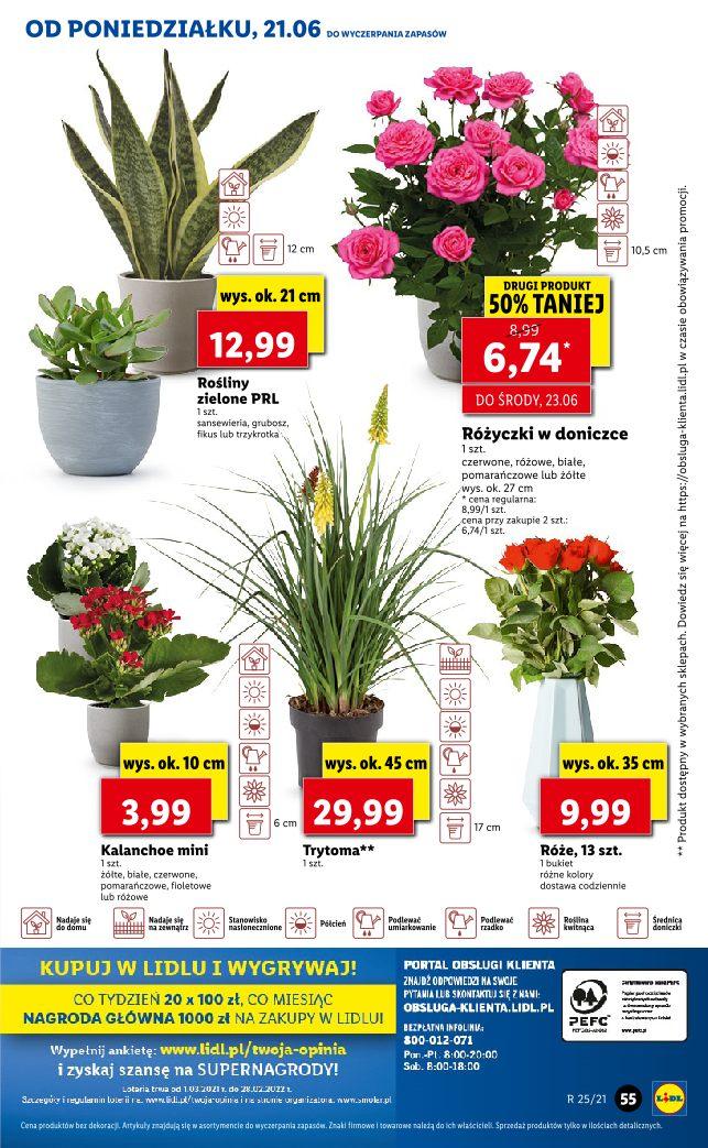 Gazetka promocyjna Lidl str. 55