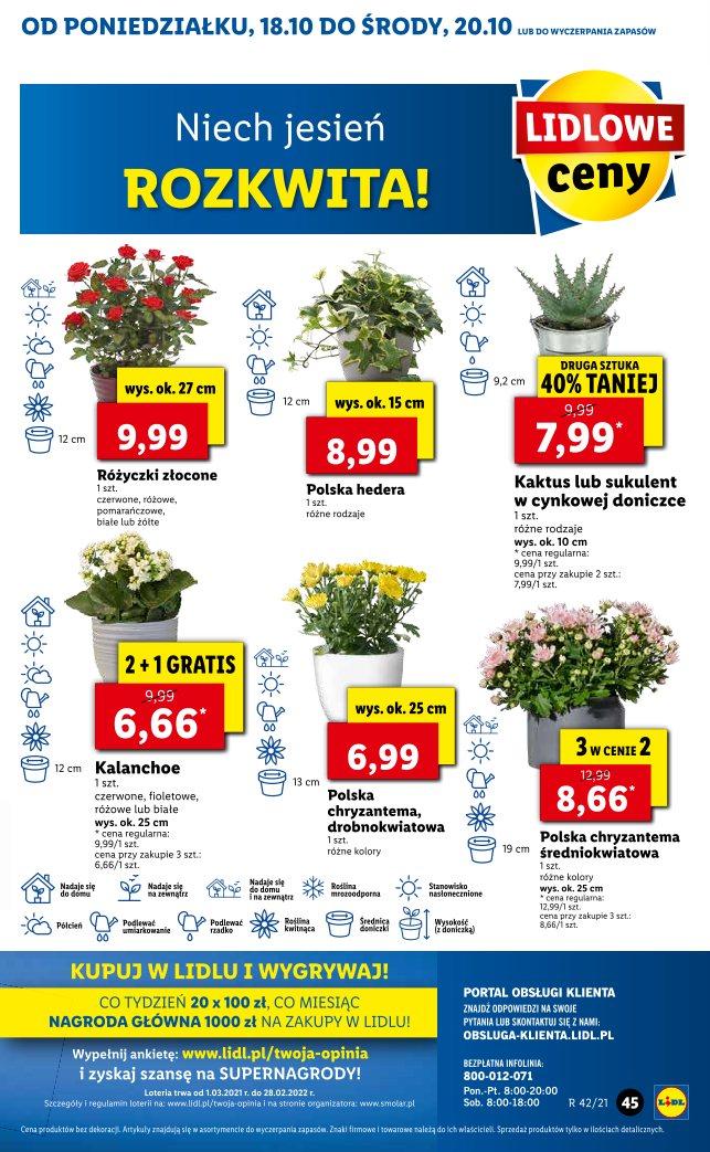 Gazetka promocyjna Lidl str. 45