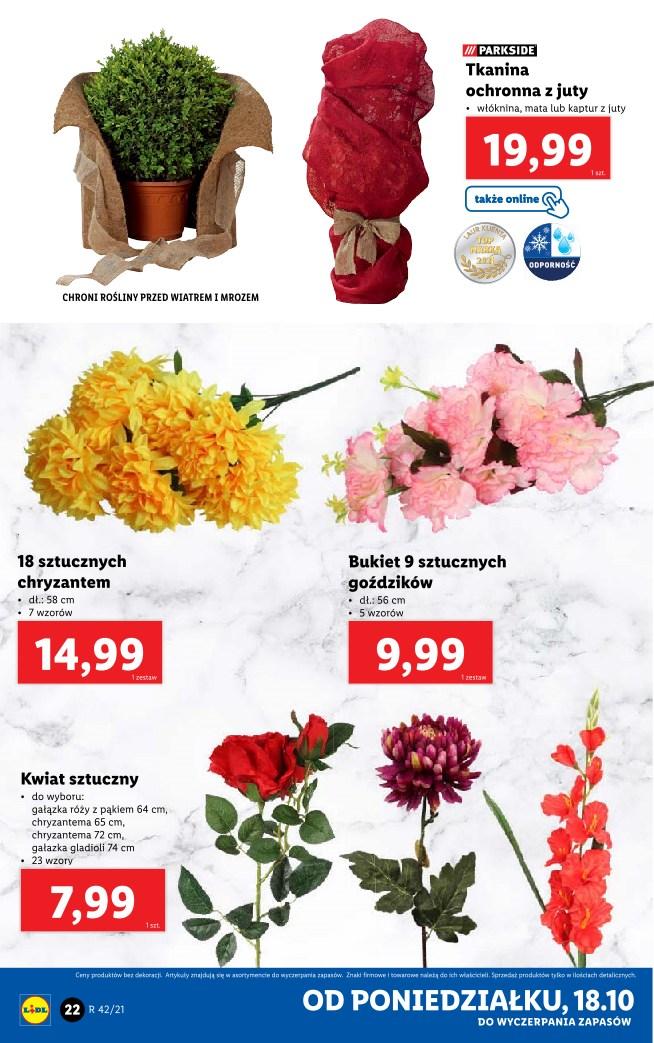 Gazetka promocyjna Lidl str. 22