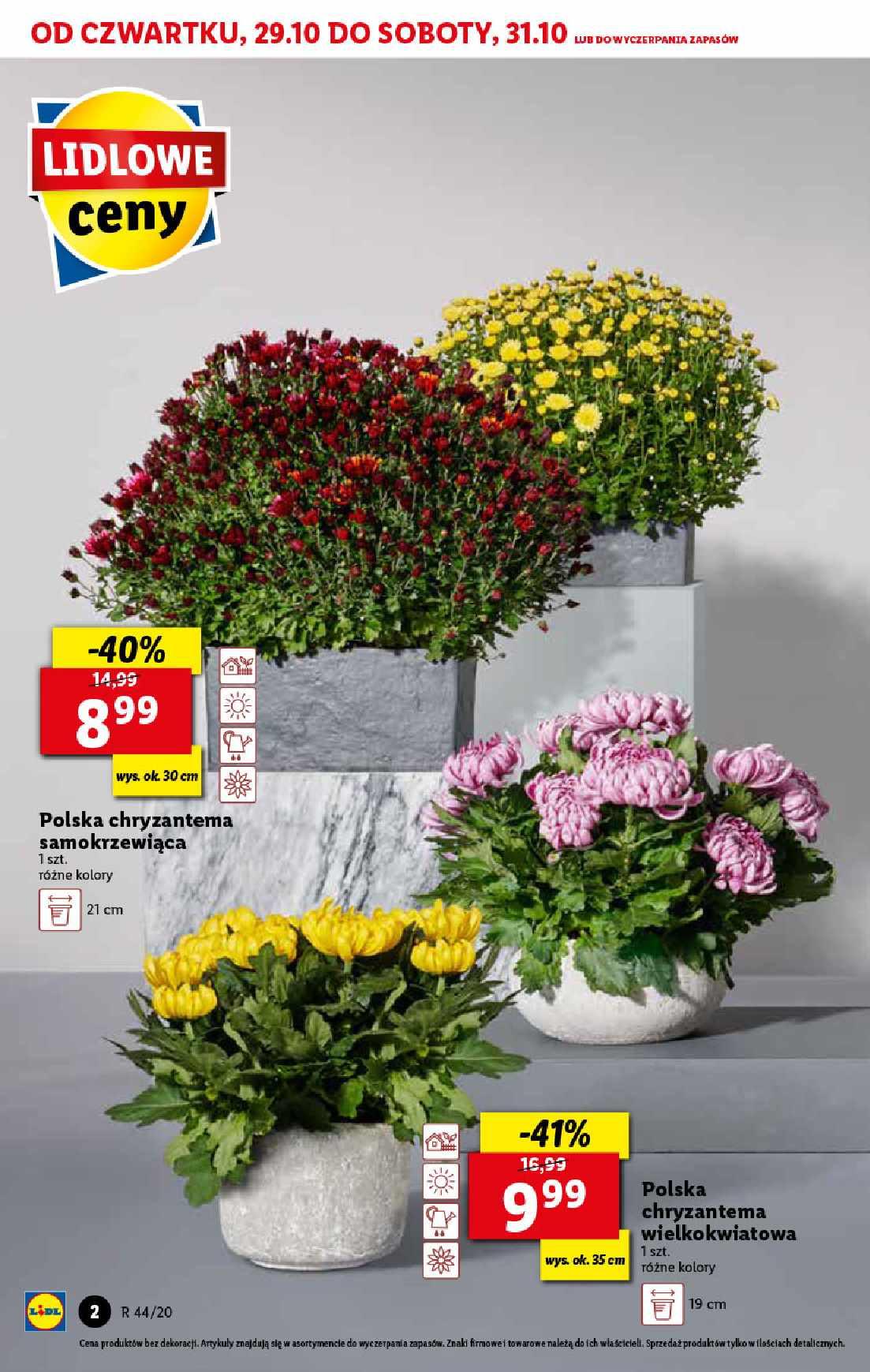 Gazetka promocyjna Lidl str. 2