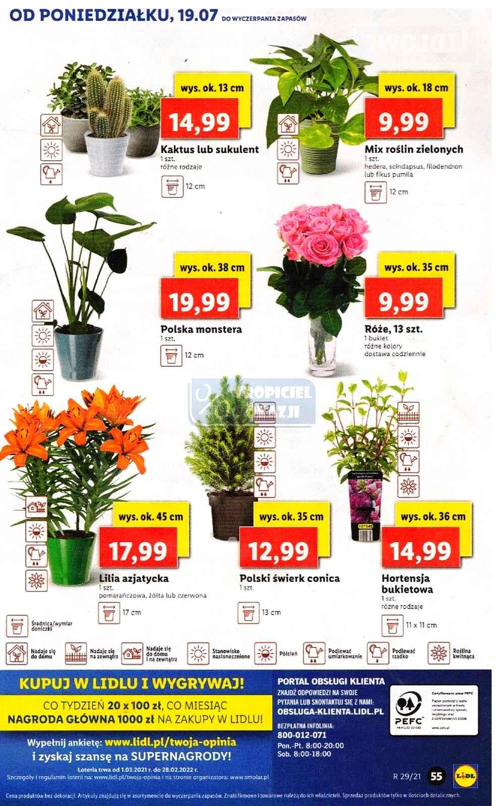 Gazetka promocyjna Lidl str. 55