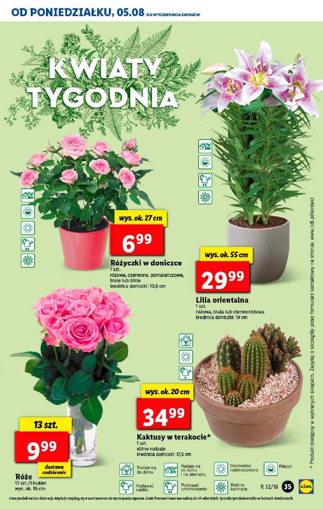 Gazetka promocyjna Lidl str. 35
