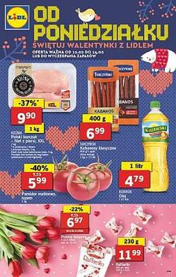 Lidl niebieska gazetka