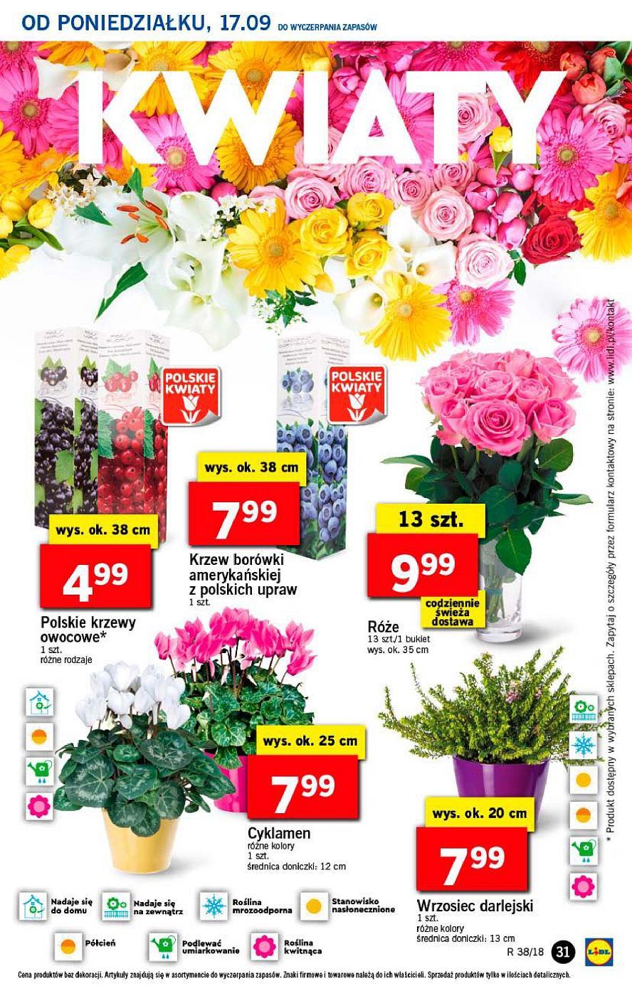 Gazetka promocyjna Lidl str. 31
