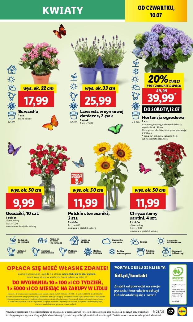 Gazetka promocyjna Lidl str. 61