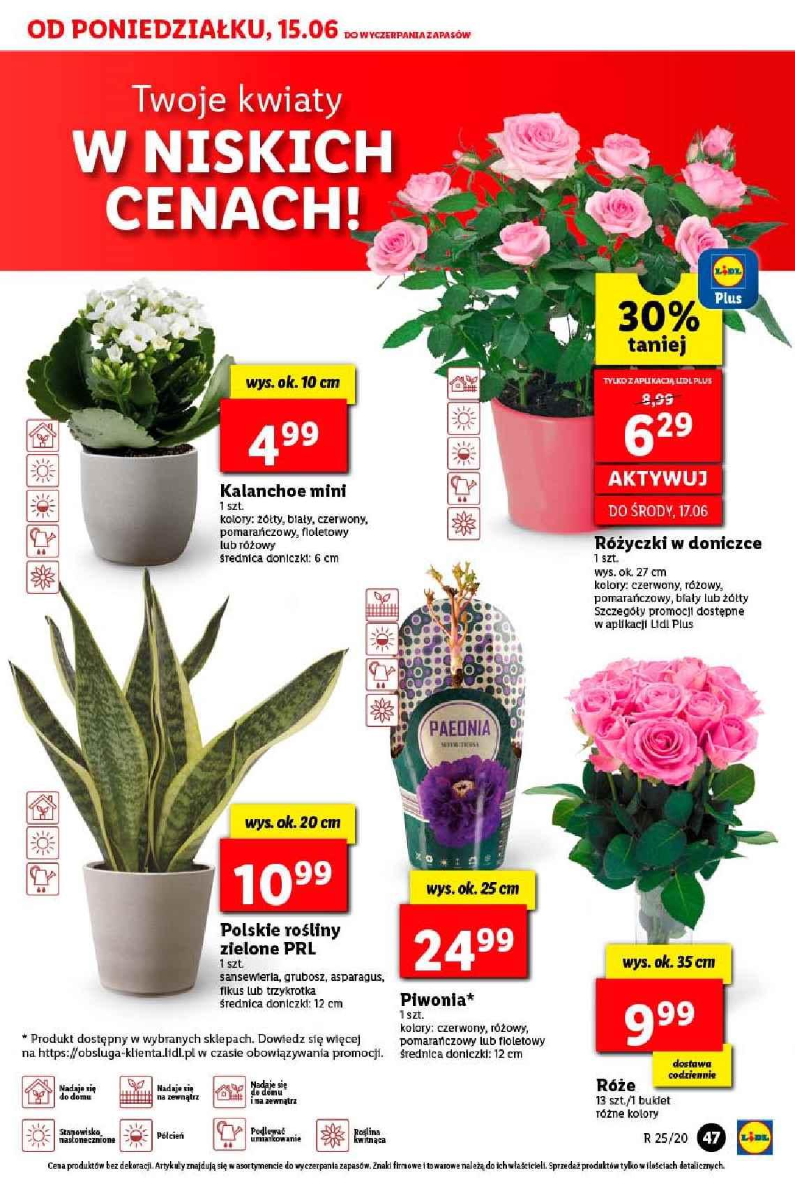 Gazetka promocyjna Lidl str. 47