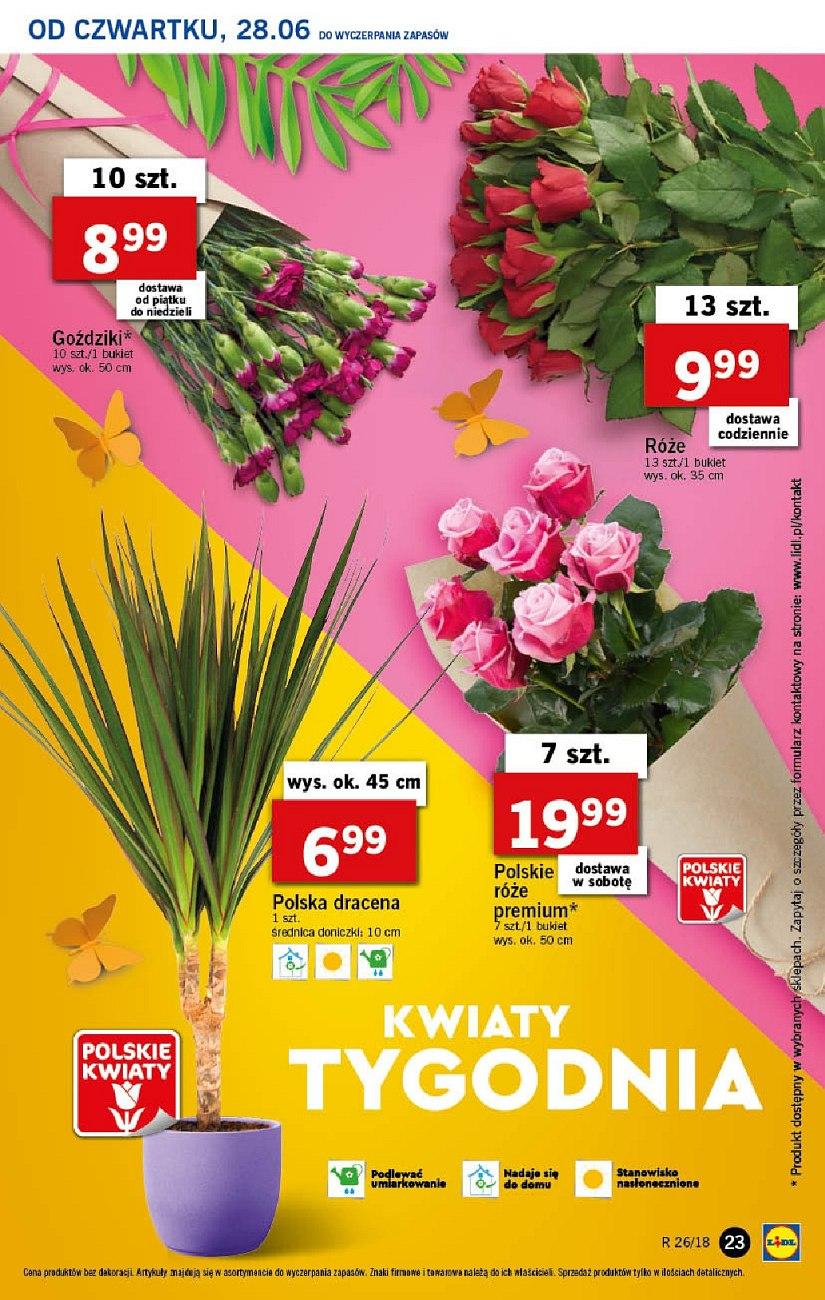 Gazetka promocyjna Lidl str. 23