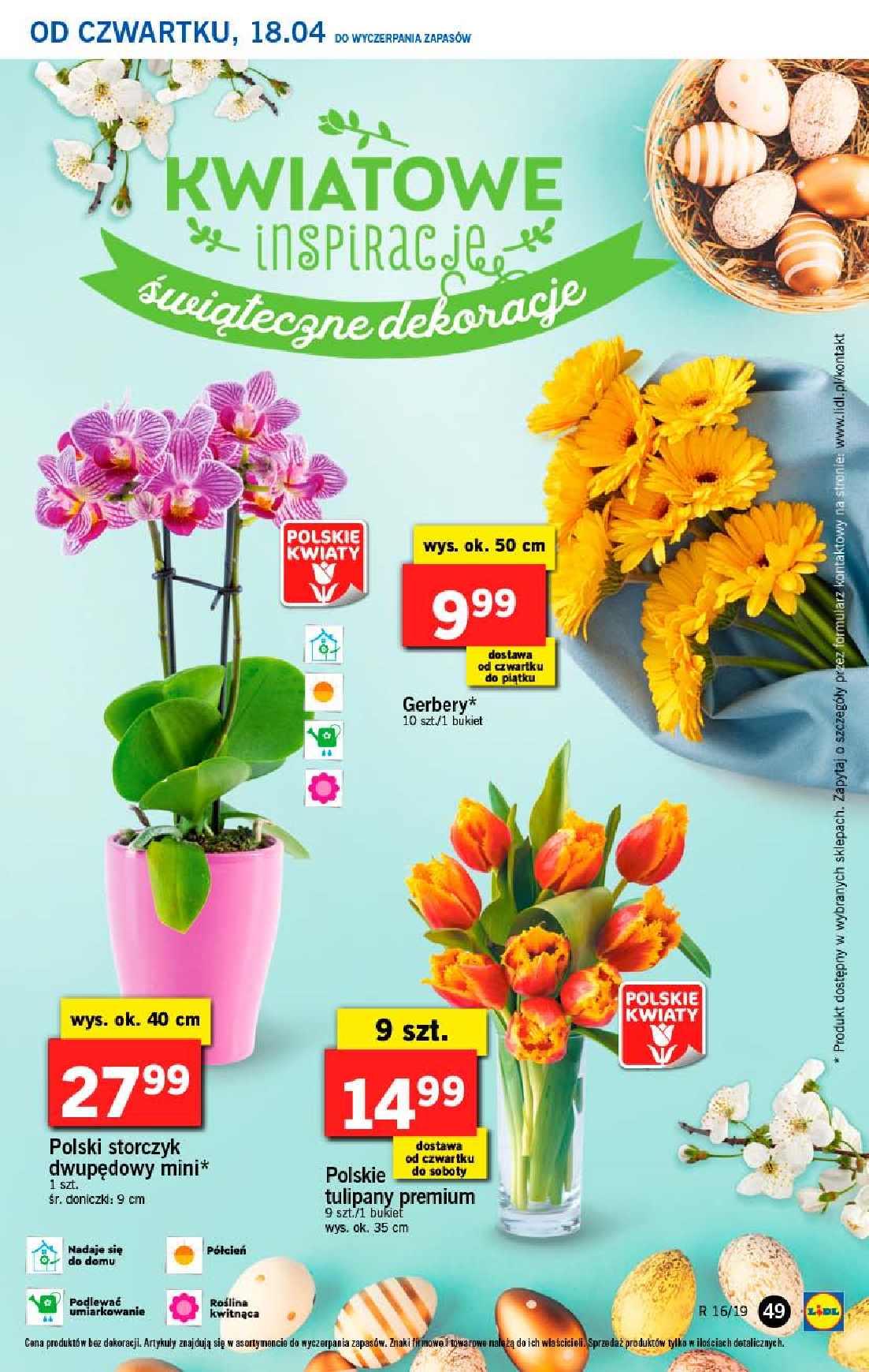 Gazetka promocyjna Lidl str. 49