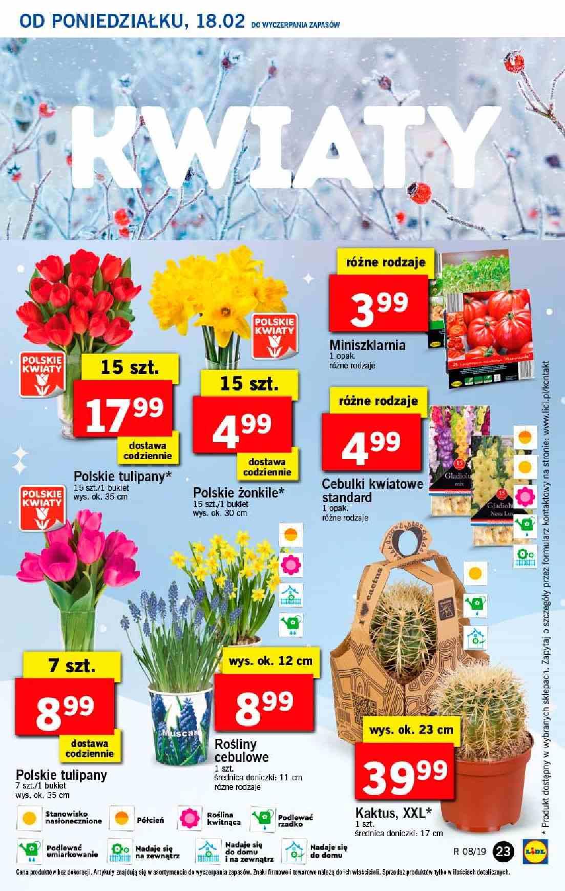 Gazetka promocyjna Lidl str. 23