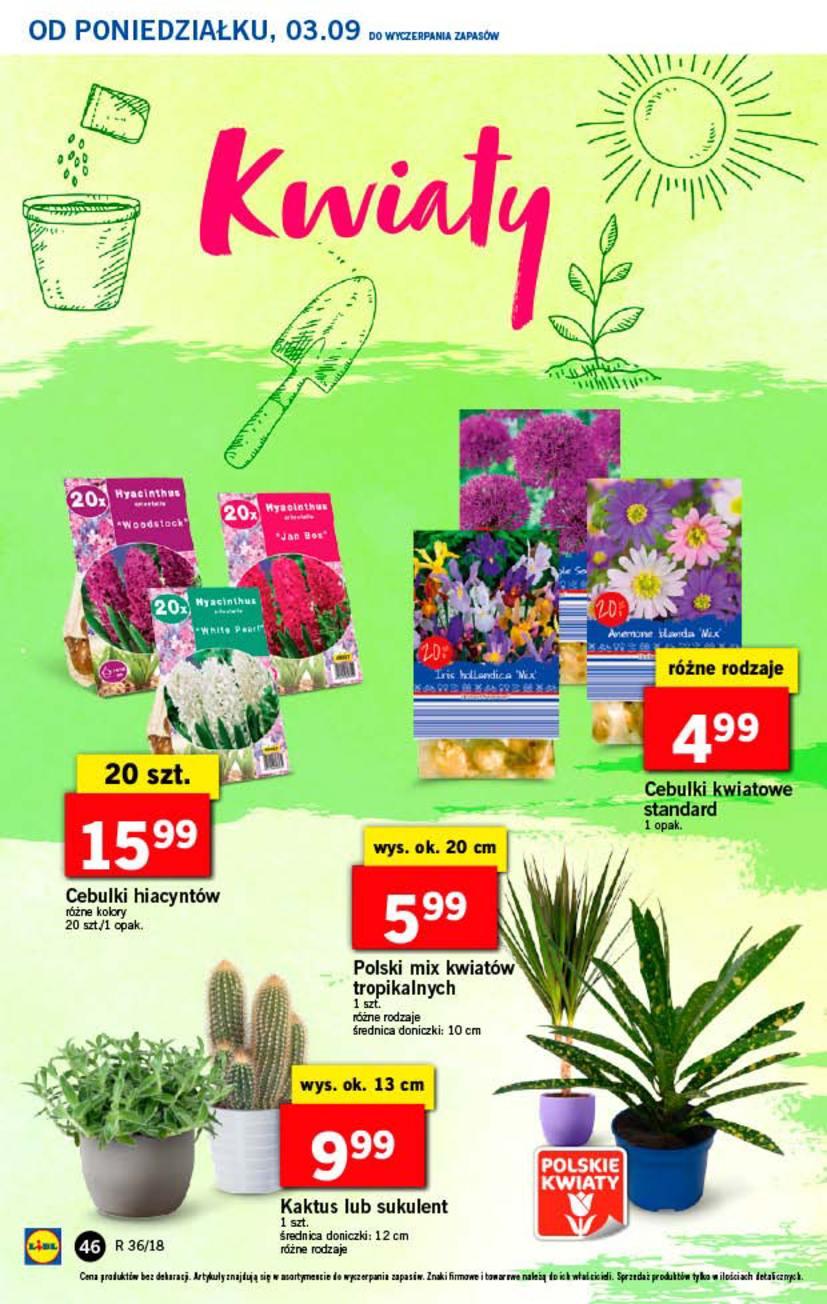 Gazetka promocyjna Lidl str. 46
