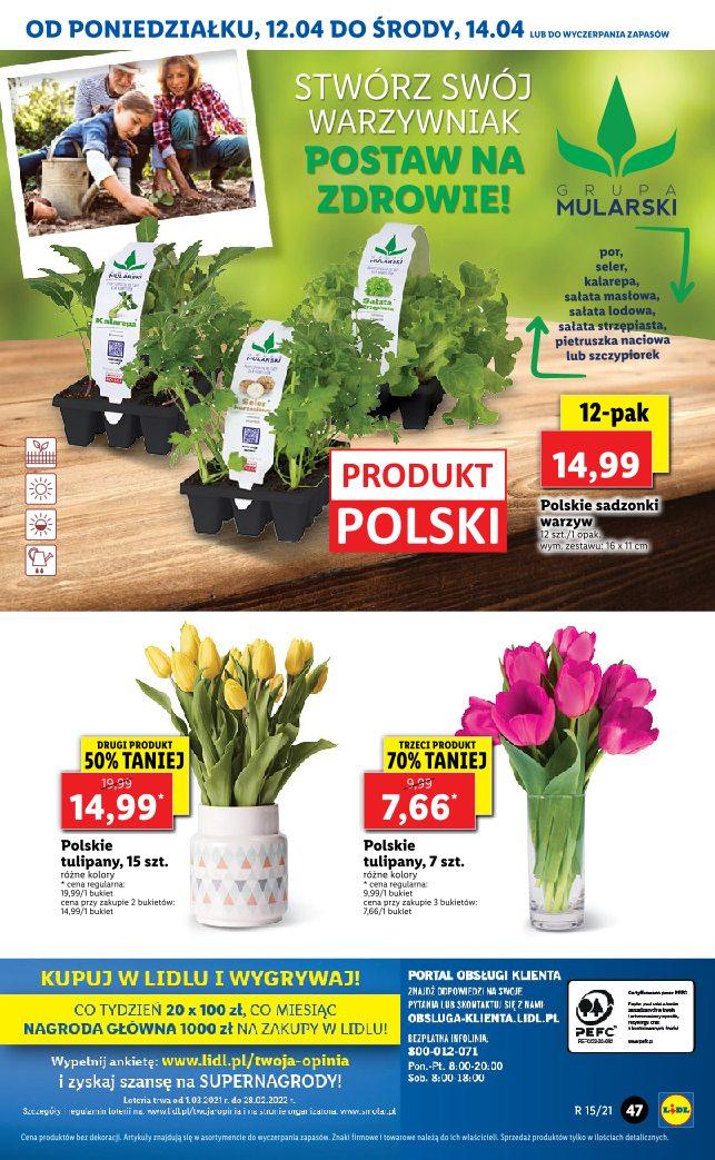 Gazetka promocyjna Lidl str. 47