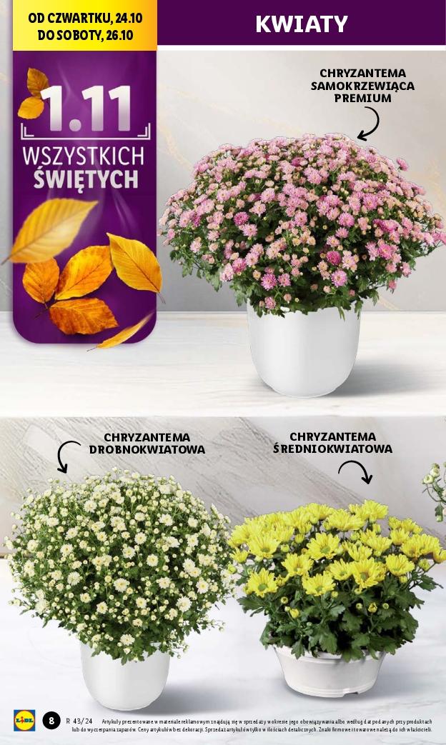 Gazetka promocyjna Lidl str. 7